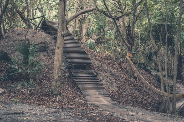 Markham park mountain bike trails