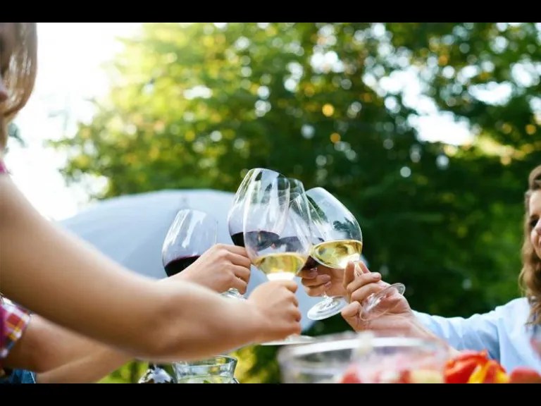 Spring Wine Festivals: Sipping the Flavors of Spring