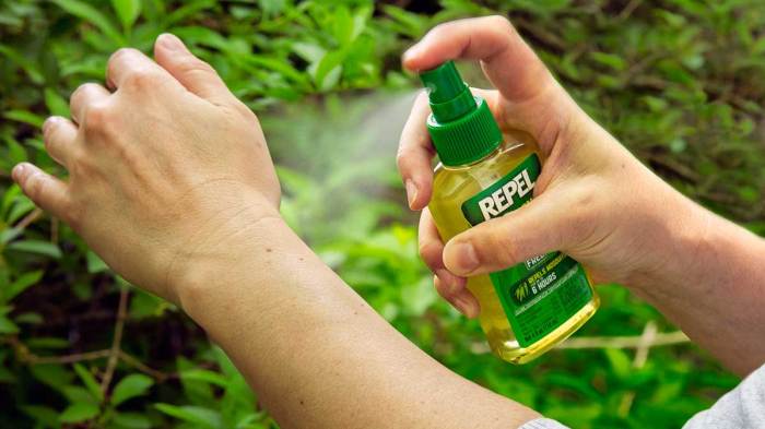 Flea repellent natural humans