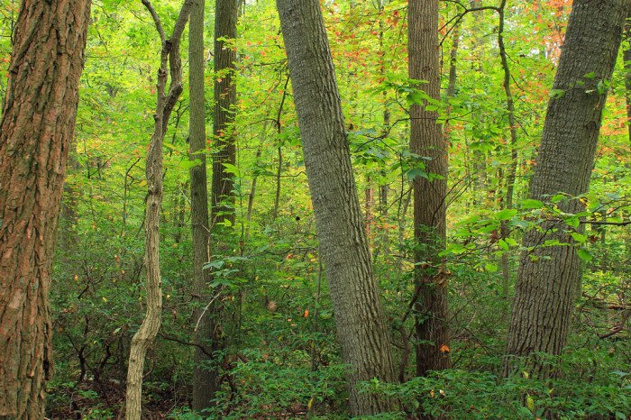 Welsh preserve pennsylvania alltrails