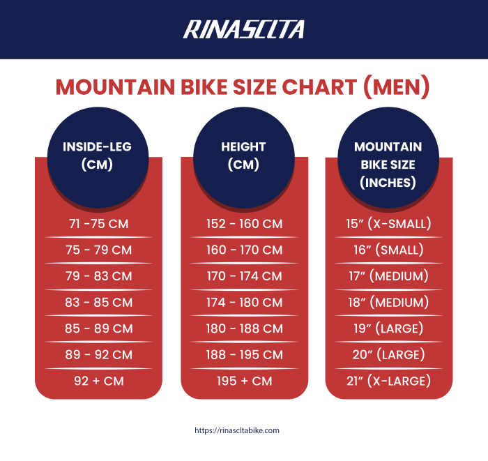 Mountain bike frame size guide