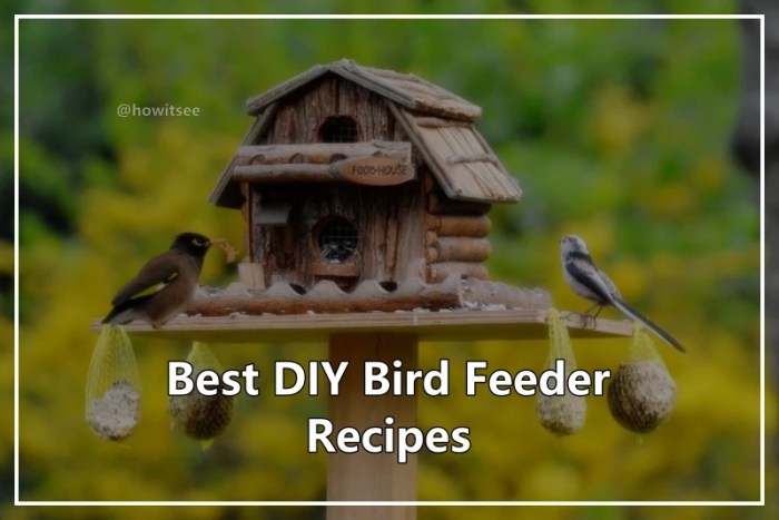 Bird Feeder Filling: Nourishing Birds in Spring