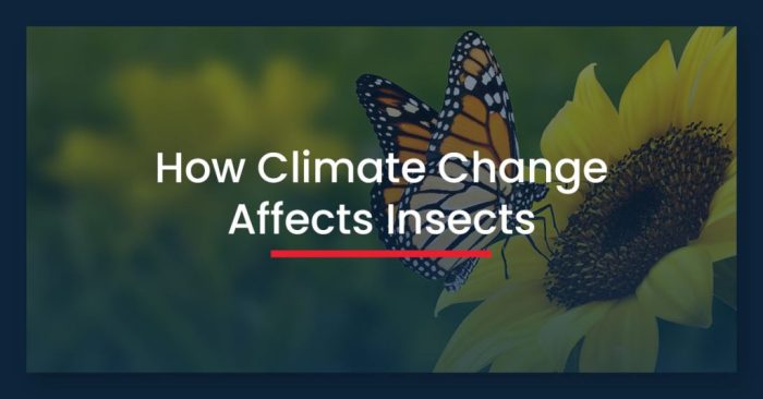 Climate change insect assessing based number responses heading testing should where orders numerically impacts studies published figure top