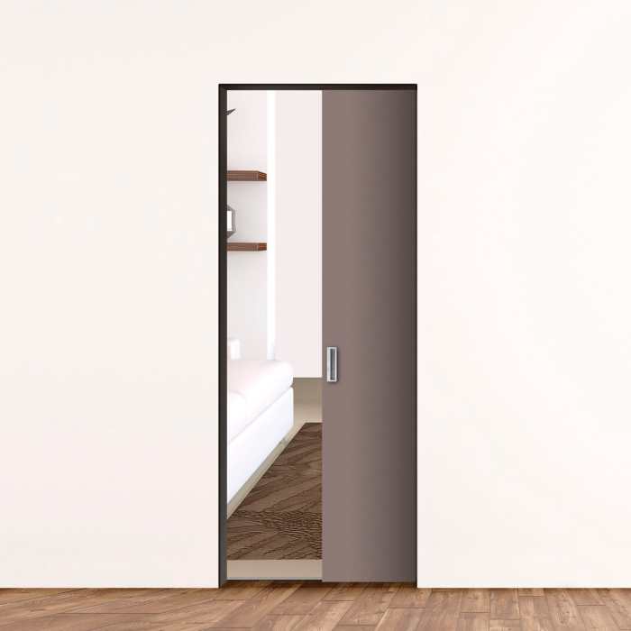 Mirrored pocket door