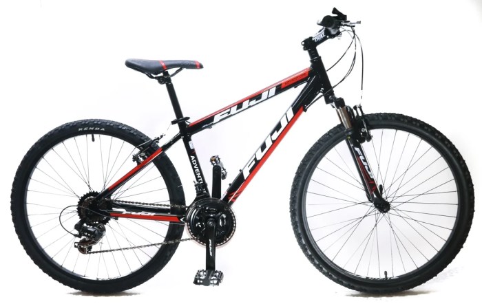 Fugi mountain bike