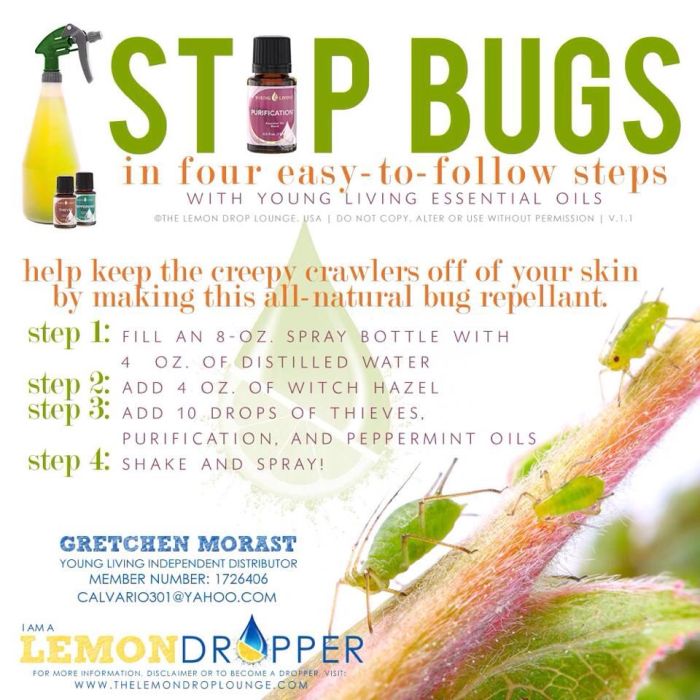 Essential oil blends for different bug types