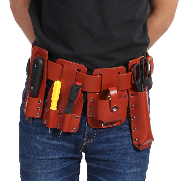 Tool belt with tools