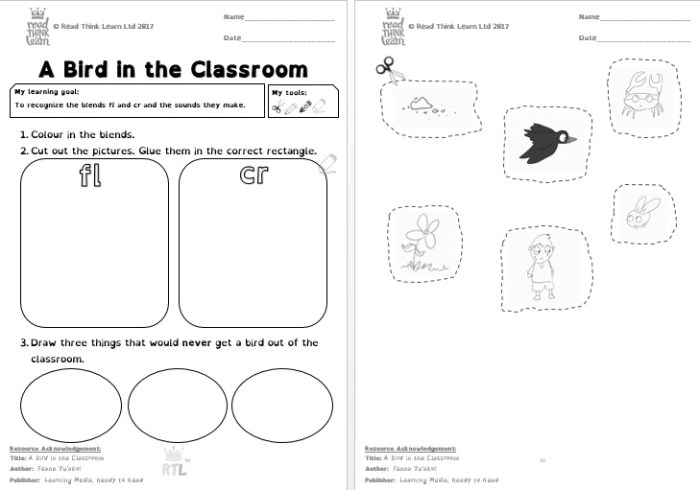 Birds in the Classroom: A Springtime Curriculum