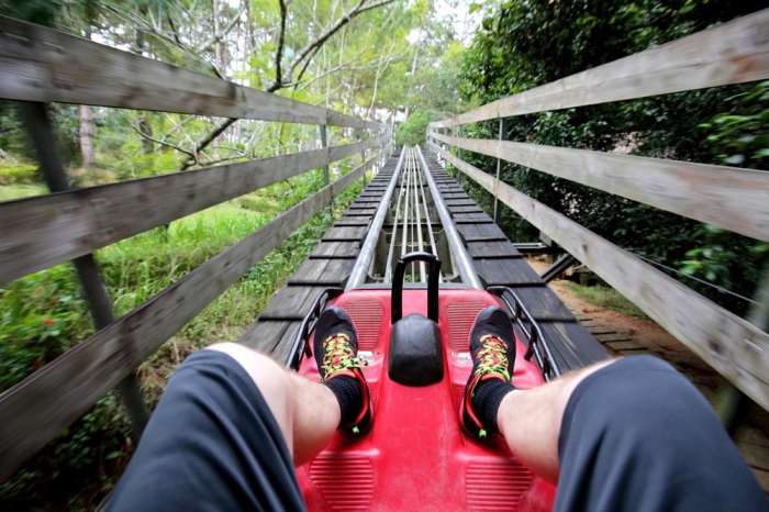 Coaster mountain gravity rowdy bear gatlinburg pov need know riding