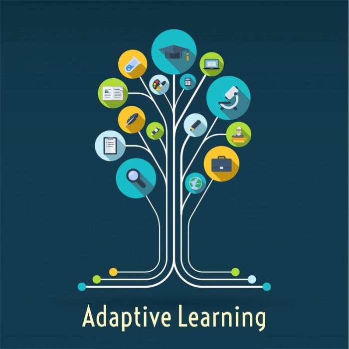 Mini Exams for Adaptive Learning