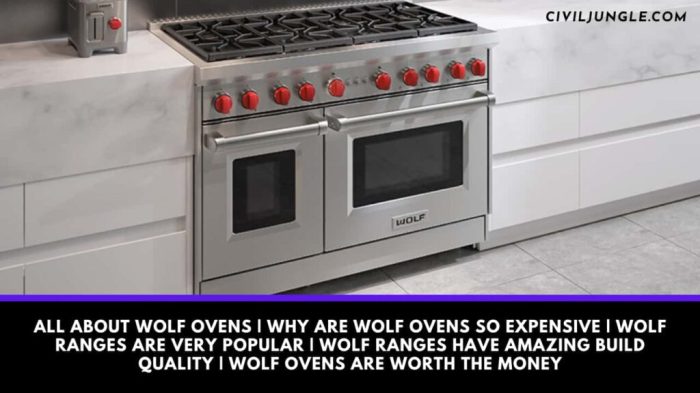 Wolf gas range ranges 36 oven ovens appliances burners inch burner conventional including subzero stainless pro tips