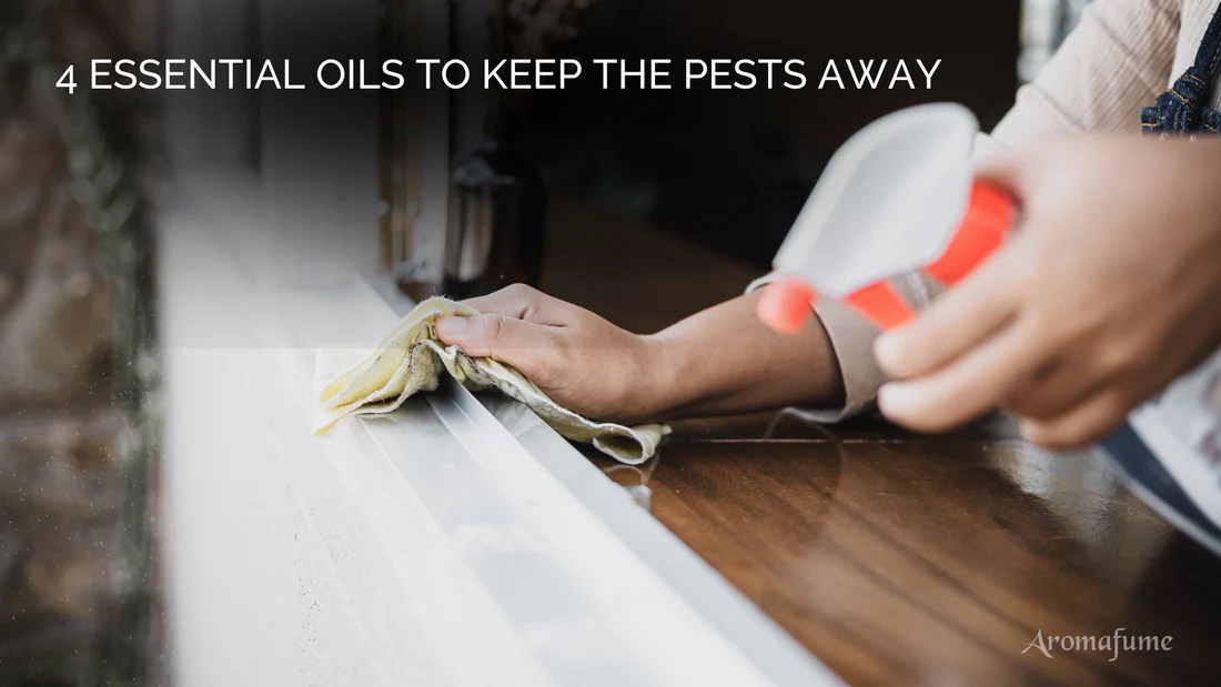 The use of essential oils in aromatherapy for bug control