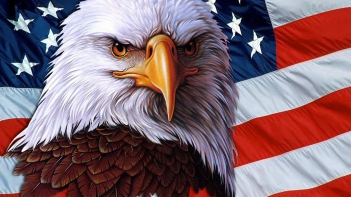 Eagles as Symbols of Freedom and Power