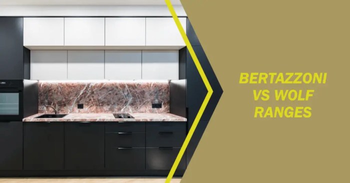 Wolf Oven vs. Bertazzoni Ovens