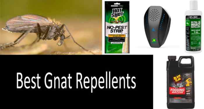 The effectiveness of natural repellents for gnats