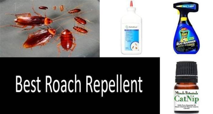 The effectiveness of natural repellents for cockroaches