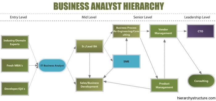 Resume analyst business sample monster career