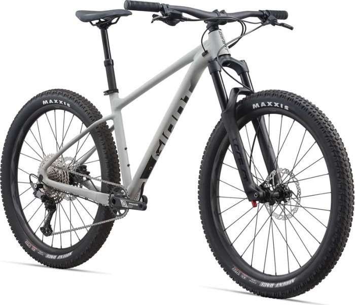 Hardtail giant fathom grey