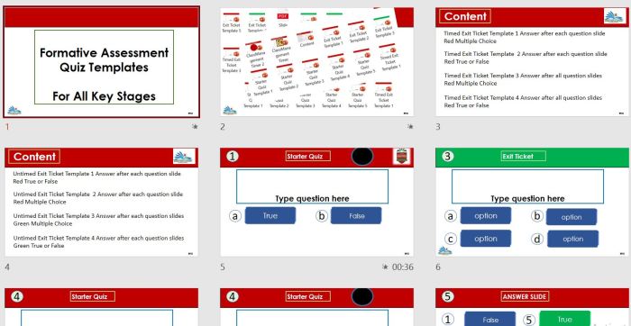 Mini Exams for Quiz Formative Assessments Tools