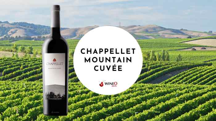 Chappellet mountain cuvee