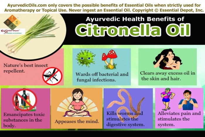 The role of citronella in natural repellents