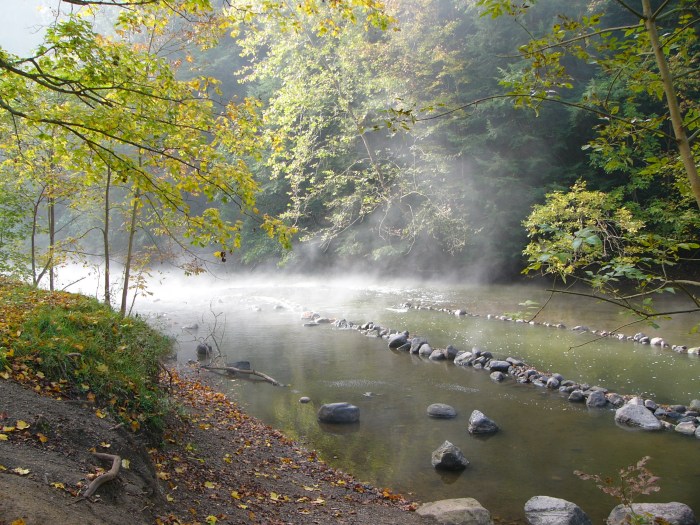 Mohican lyons discovery longtime unexpected cleveland