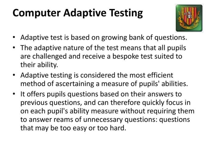 Mini Exams for Quiz Adaptive Tools