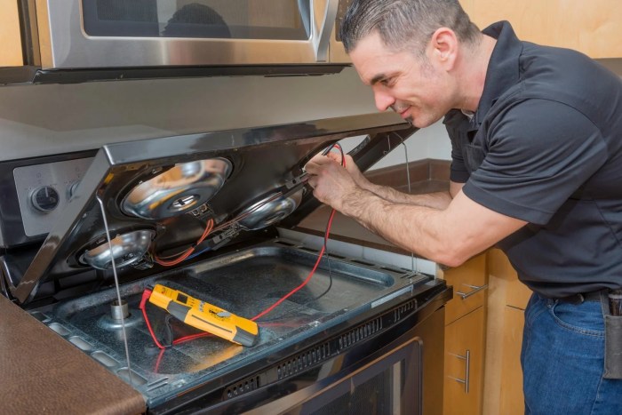 Clean stove cleaners dual