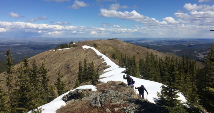 Cox mountain trail