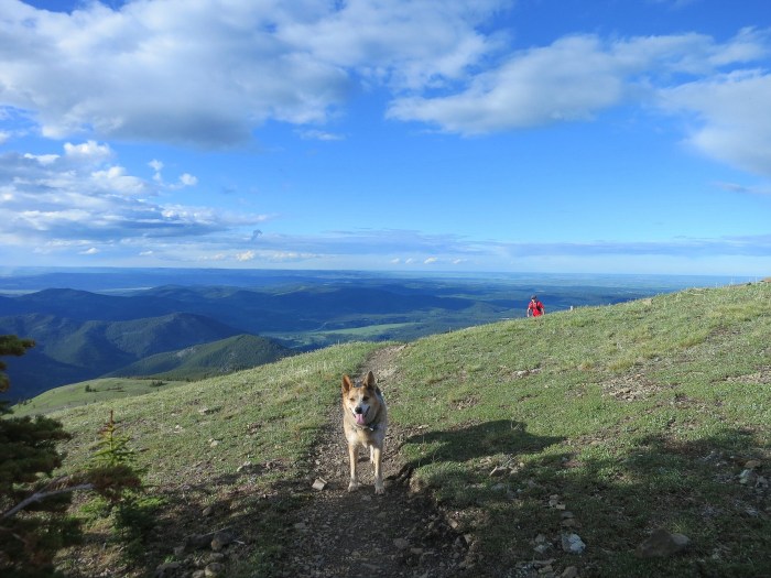 Cox mountain trail