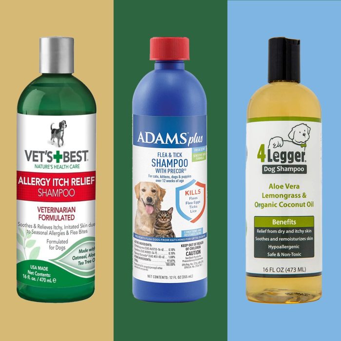 The use of essential oils in pet shampoo for bug control