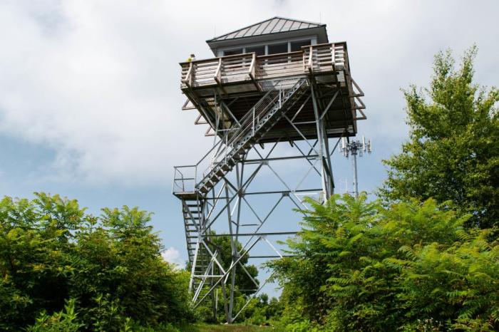 Rich mountain fire tower