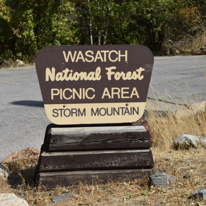 Storm mountain picnic area