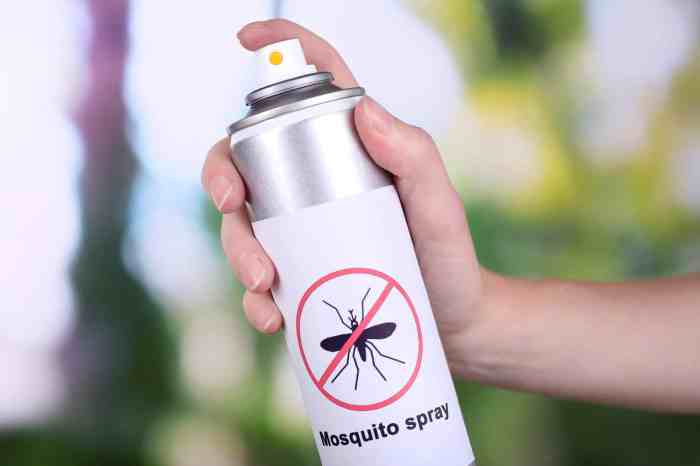 The effectiveness of natural repellents for house flies