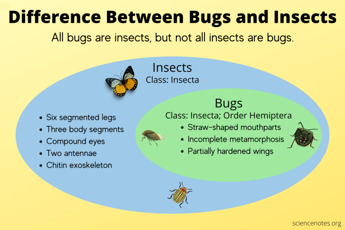 Light attracted insects why bugs fly phototaxis bulb nature do glowing