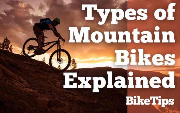 Kinds of mountain bike