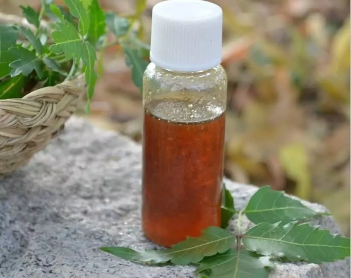 The use of neem oil as a natural repellent