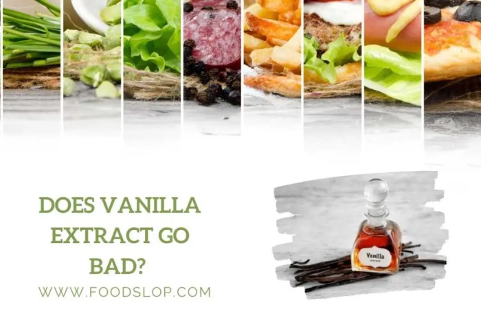 The benefits of vanilla extract for bug control