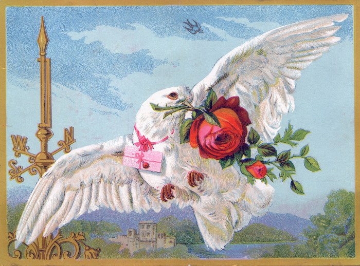 Birds and Roses: A Springtime Romance