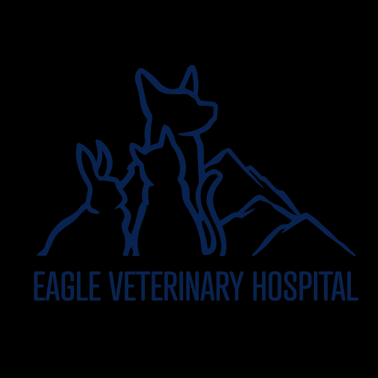 Eagle mountain vet