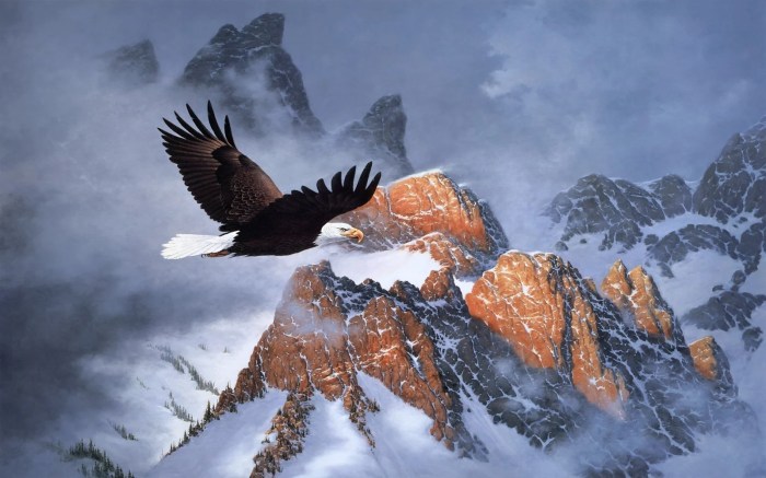 Mountain eagle obits