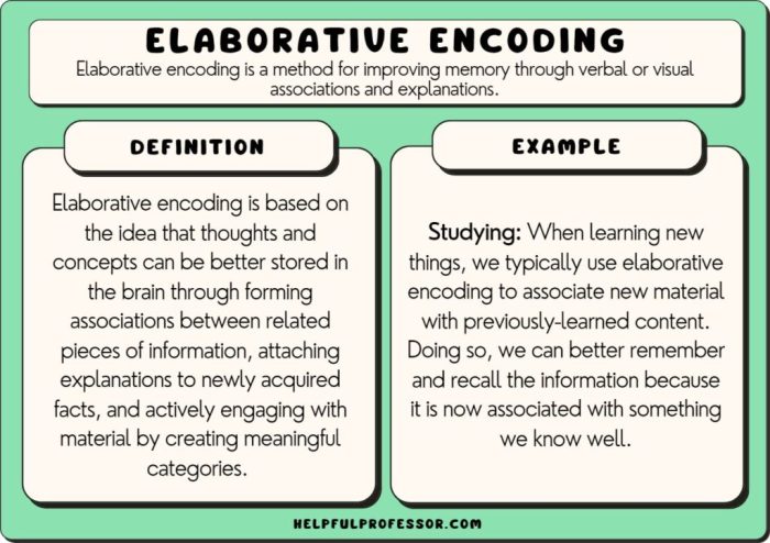 Mini Exams for Quiz Elaborative Encoding Tools