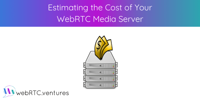 Media convergence server cost