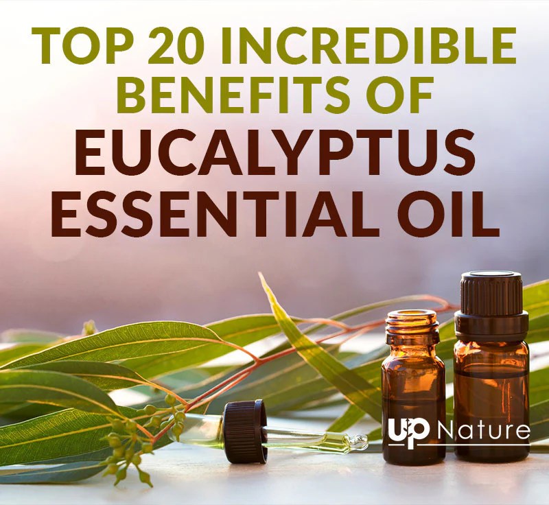 The effectiveness of eucalyptus oil