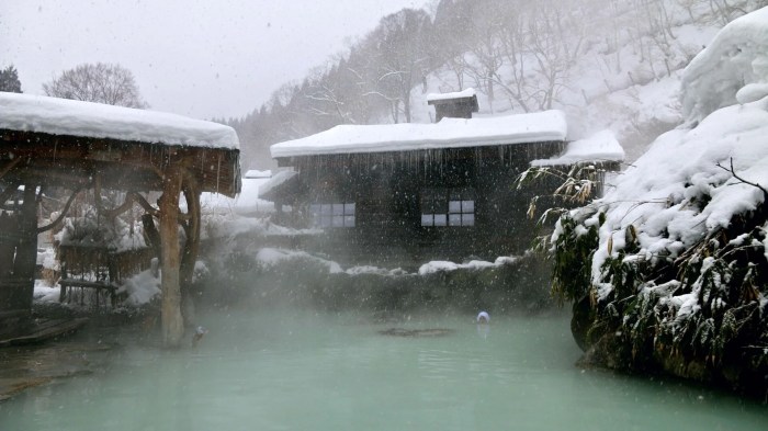 Japanese onsen with mountain views