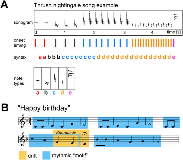 Birdsong in Electronic Music: A Springtime Beat