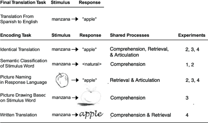 Mini Exams for Quiz Elaborative Encoding Tools