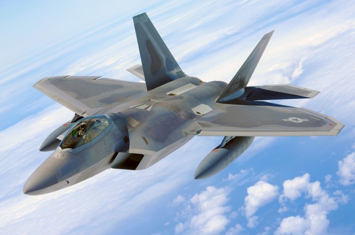 F22 rc jet plane