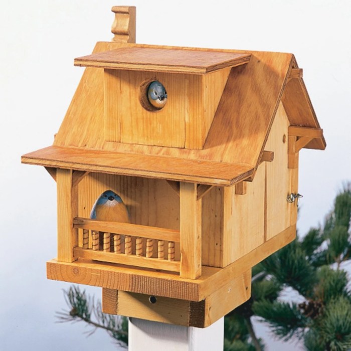 Birdhouse Building: Creating Homes for Spring Birds