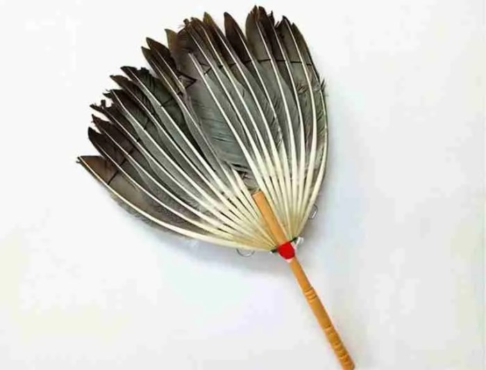 Feather fan decorative bird preview